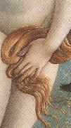 Sandro Botticelli The Birth of Venus (mk36) oil on canvas